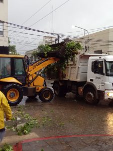 Maquinaria levantando ramas